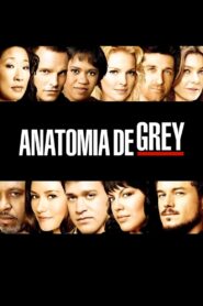 Grey’s Anatomy: Season 4