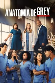 Grey’s Anatomy: Season 19