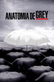 Grey’s Anatomy: Season 6