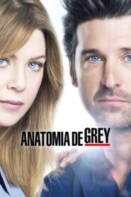 Grey’s Anatomy: Season 9