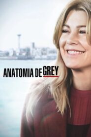 Grey’s Anatomy: Season 15