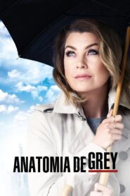 Grey’s Anatomy: Season 12