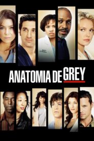 Grey’s Anatomy: Season 3